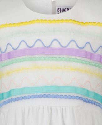 Toddler and Little Girls Multicolor Embroidered Tulle Dress