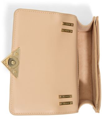 Маленькая сумка ALDO Zenithpursemini через плечо