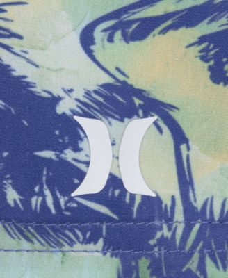 Little Boys Palm Beach Swim Top & Shorts, 2 Piece Set