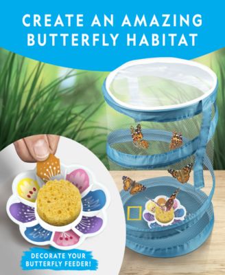 Butterfly Growing Kit