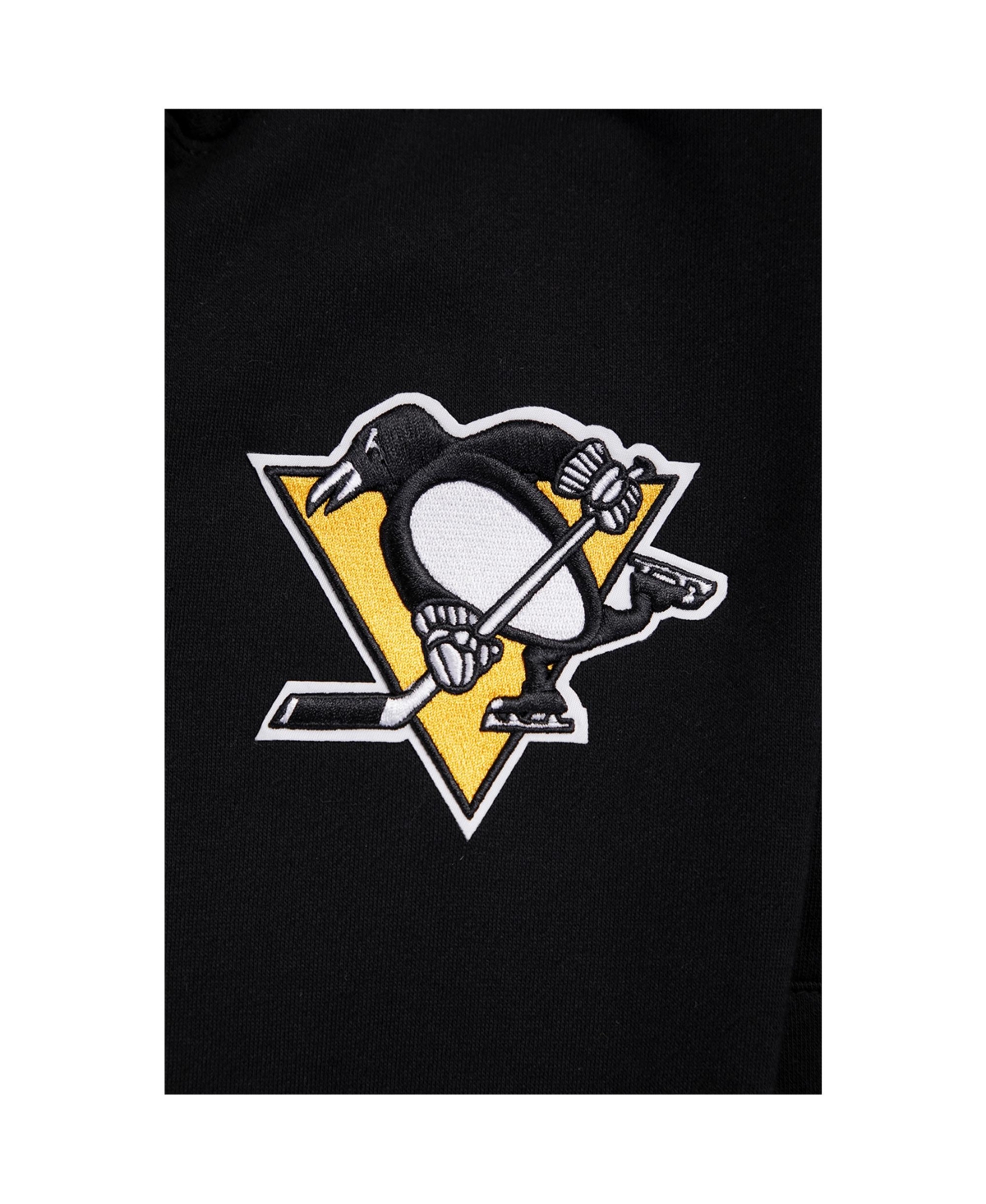 Pro Standard Men's Black Pittsburgh Penguins Paint The City Pullover Hoodie In Black