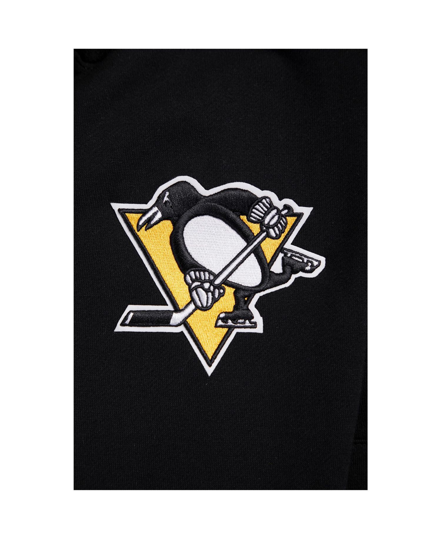 Men's Black Pittsburgh Penguins Paint the City Pullover Hoodie