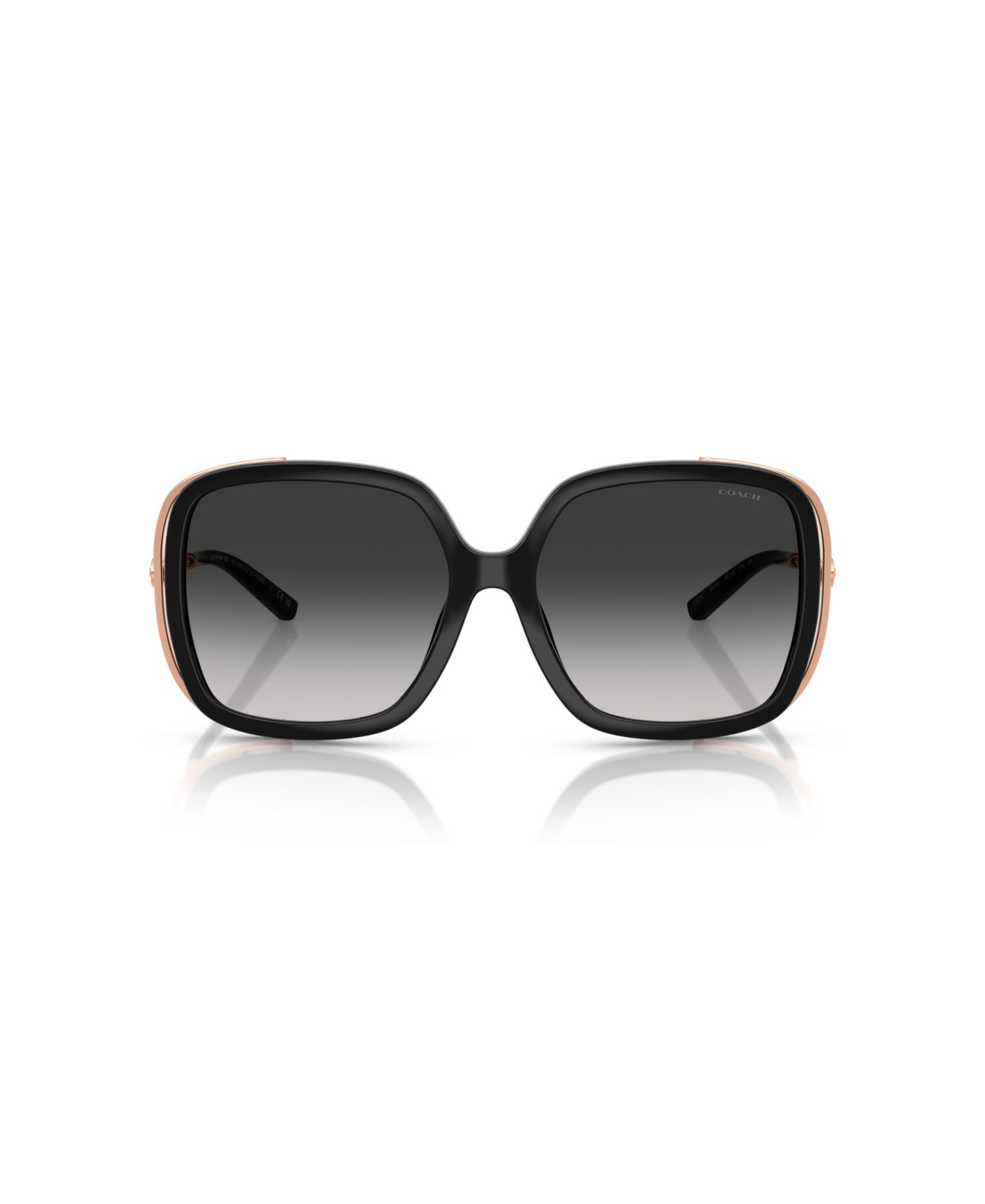 Women's Large Sunglasses, CAD80 HC8423U