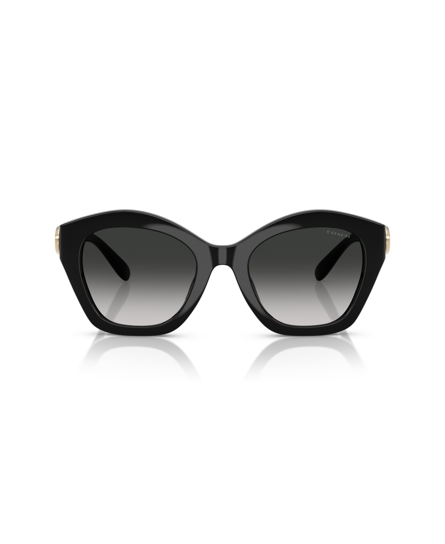 Women's Large Sunglasses, CAD31 HC8421U