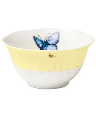 Butterfly Meadow Color 24 Pc. Dinnerware Set, Service for 6, Exclusively at Macy's