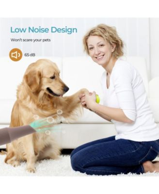 Dog Cat Hair Blower with Negative Ion Function and Adjustable Temperature