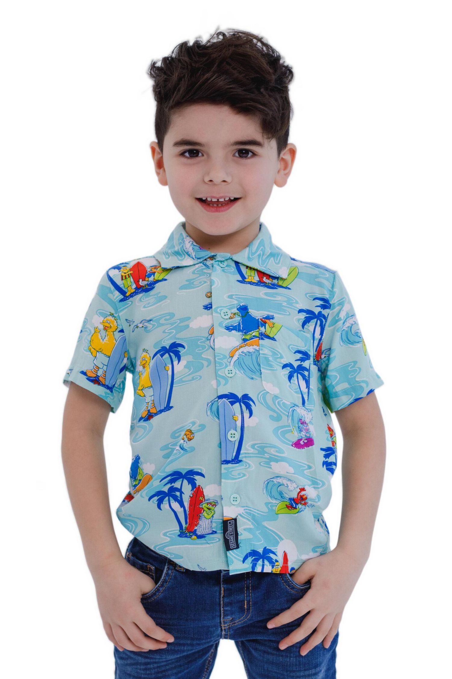 Baby Boys Bird Cookie Monster Elmo Oscar the Grouch Matching Family Hawaiian Button Down Shirt to