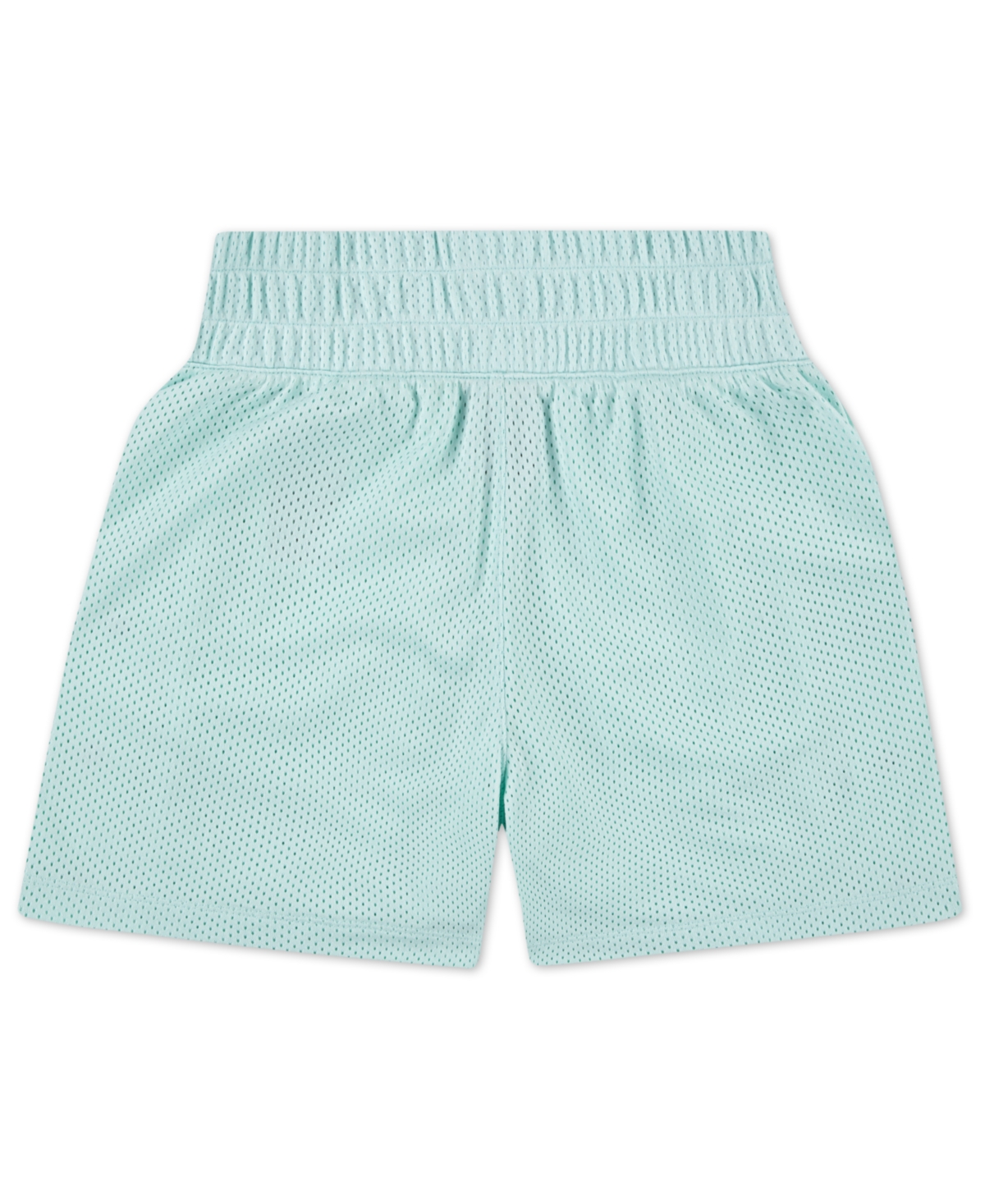 Jordan Big Girls Jumpman Training Mesh Shorts In Igloo