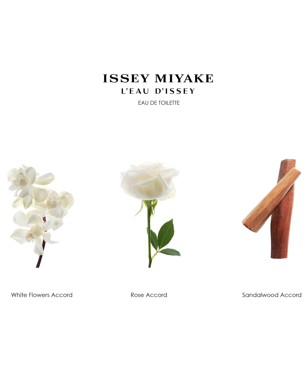 Issey Miyake 3-pc. L'eau D'issey Eau De Toilette Gift Set In No Color