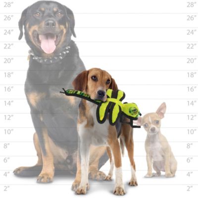 Bug Dragonfly, 2 Pack Durable Dog Toys