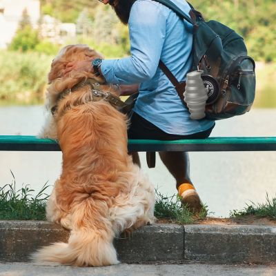 Feed N Sip 2-in-1 Collapsible Dog Bowl and Water Bottle, Portable Pet Feeding Solution for Travel