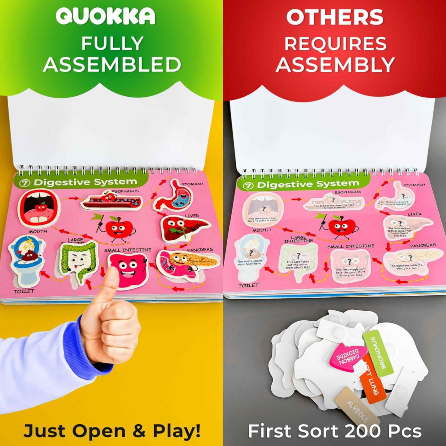 Детские игрушки Quokka Montessori Busy Book Interactive Pages, Ages 3+, цвет: Our Body — фото 2