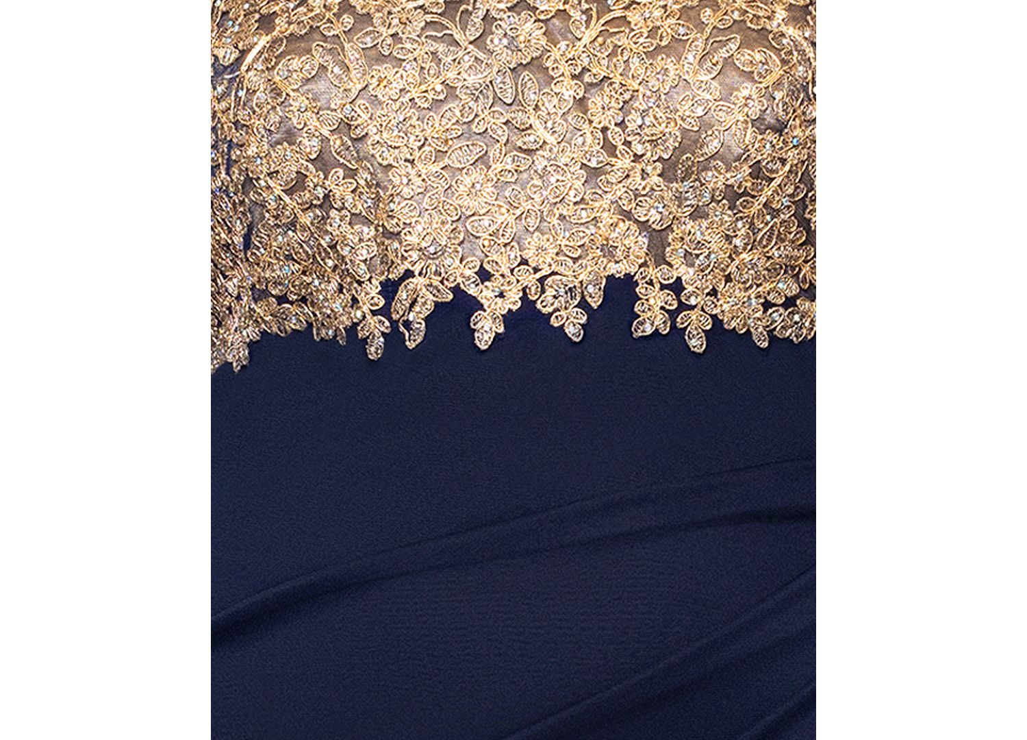 Plus Size Embroidered Illusion Gown