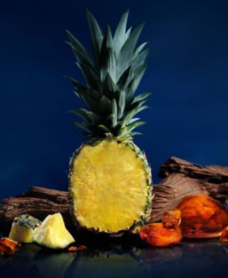 Men's Polo 67 Eau de Parfum Travel Spray, 0.34 oz.