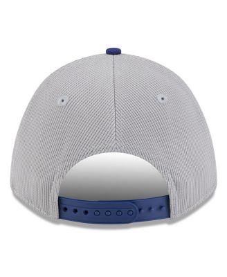 Men's Gray/Royal Los Angeles Dodgers 2025 Batting Practice 9FORTY M-Crown Adjustable Hat