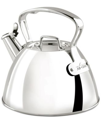 Stainless Steel Tea Kettle