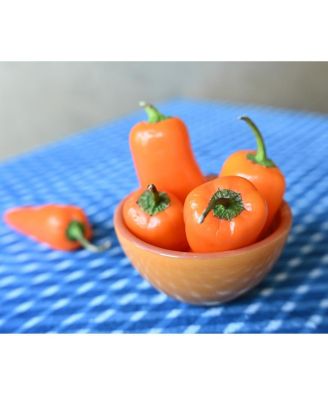 NIKKOR Z 35mm f/1.4 Lens