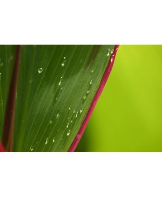 NIKKOR Z DX 18-140mm f/3.5-6.3 VR Lens