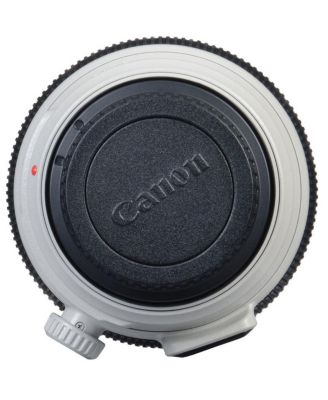 EF 100-400mm f/4.5-5.6L IS II USM Lens