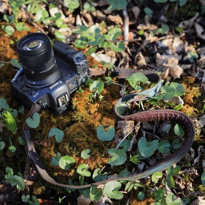 18-50mm f/2.8 DC DN Contemporary Lens for Canon RF