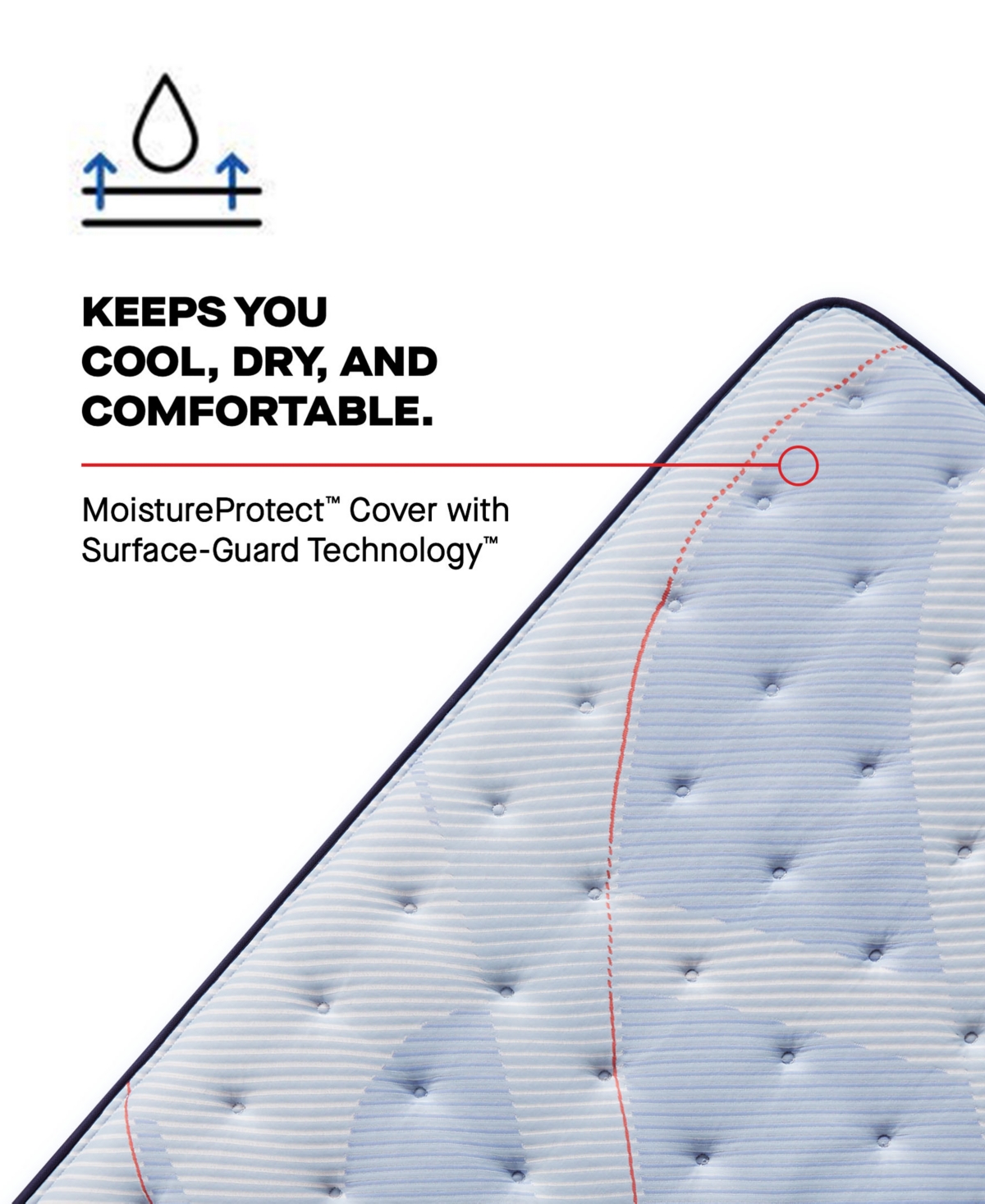 Sealy Posturepedic Kersall 14" Medium Tight Top Mattress In No Color