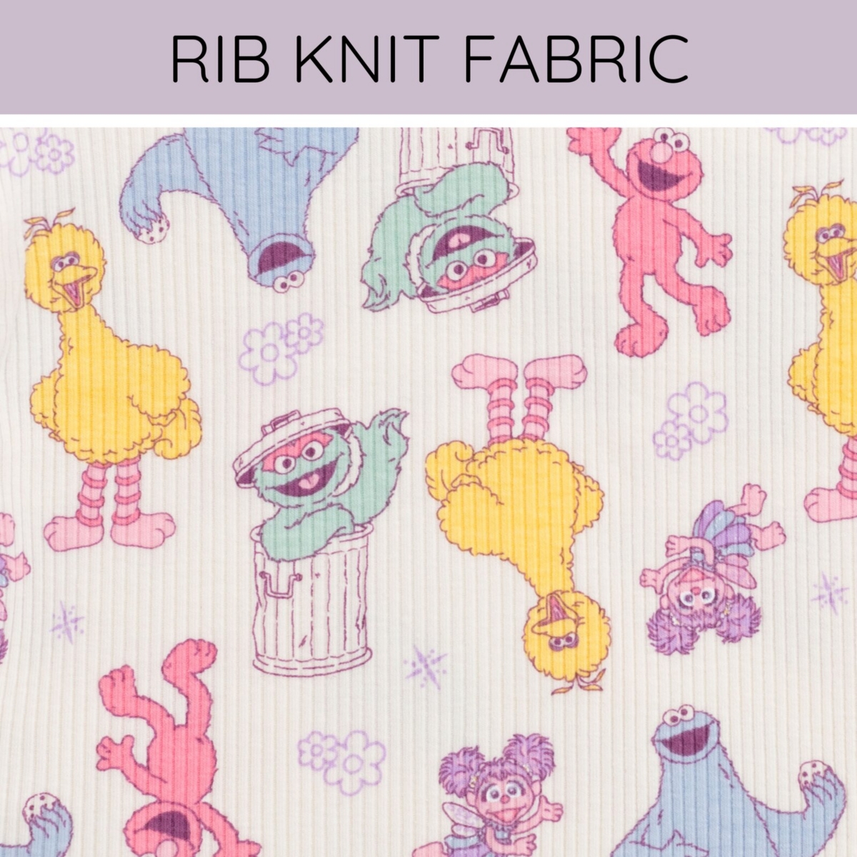 Sesame Street Toddler Girls Ribbed T-Shirt and Shorts Outfit Set