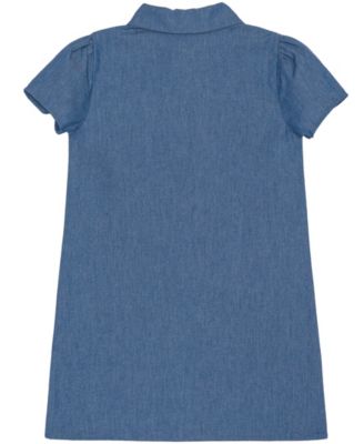 Toddler and Little Girls Minnie Daisy Denim Dress