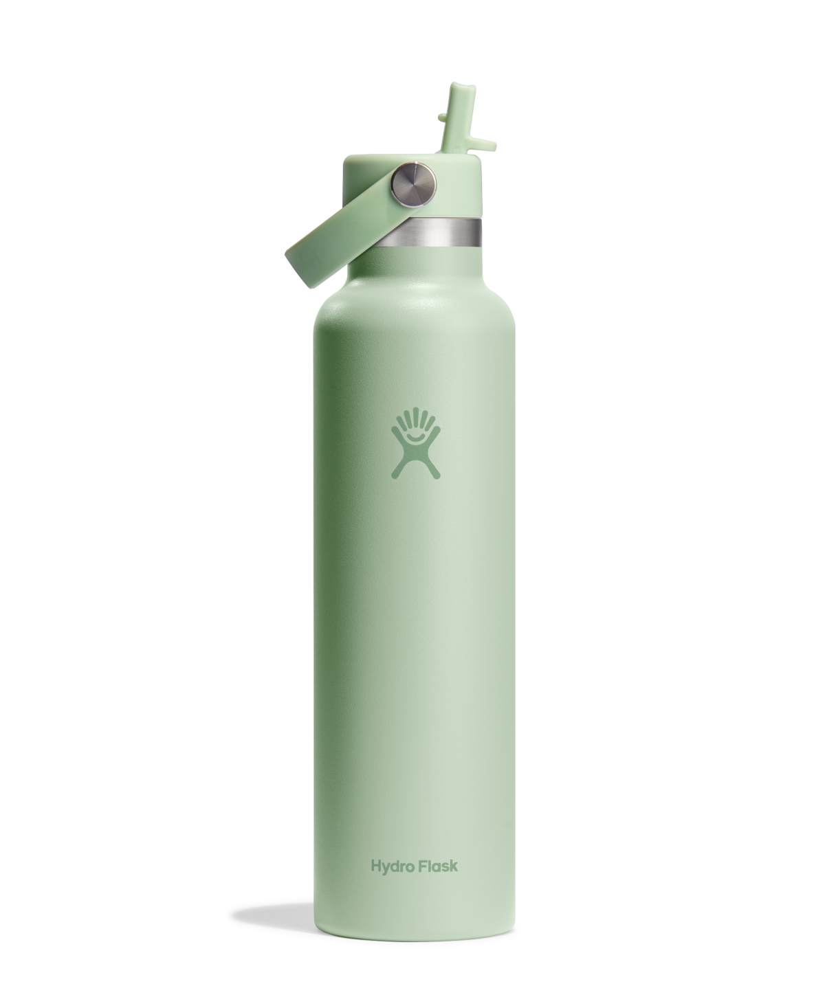 Hydro Flask 24 oz Standard Mouth With Flex Straw Cap In Aloe