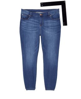 Plus Size Leroy Skinny Ankle Jean