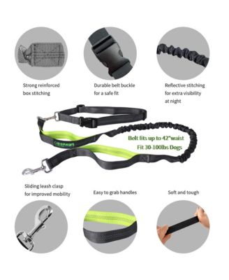 Hands Free Bungee Dog Leash - Green