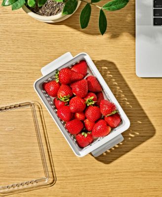 Good Grips Berry Keeper Produce Saver, 2-Piece Set