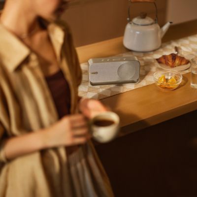 SoundLink Home Bluetooth Speaker