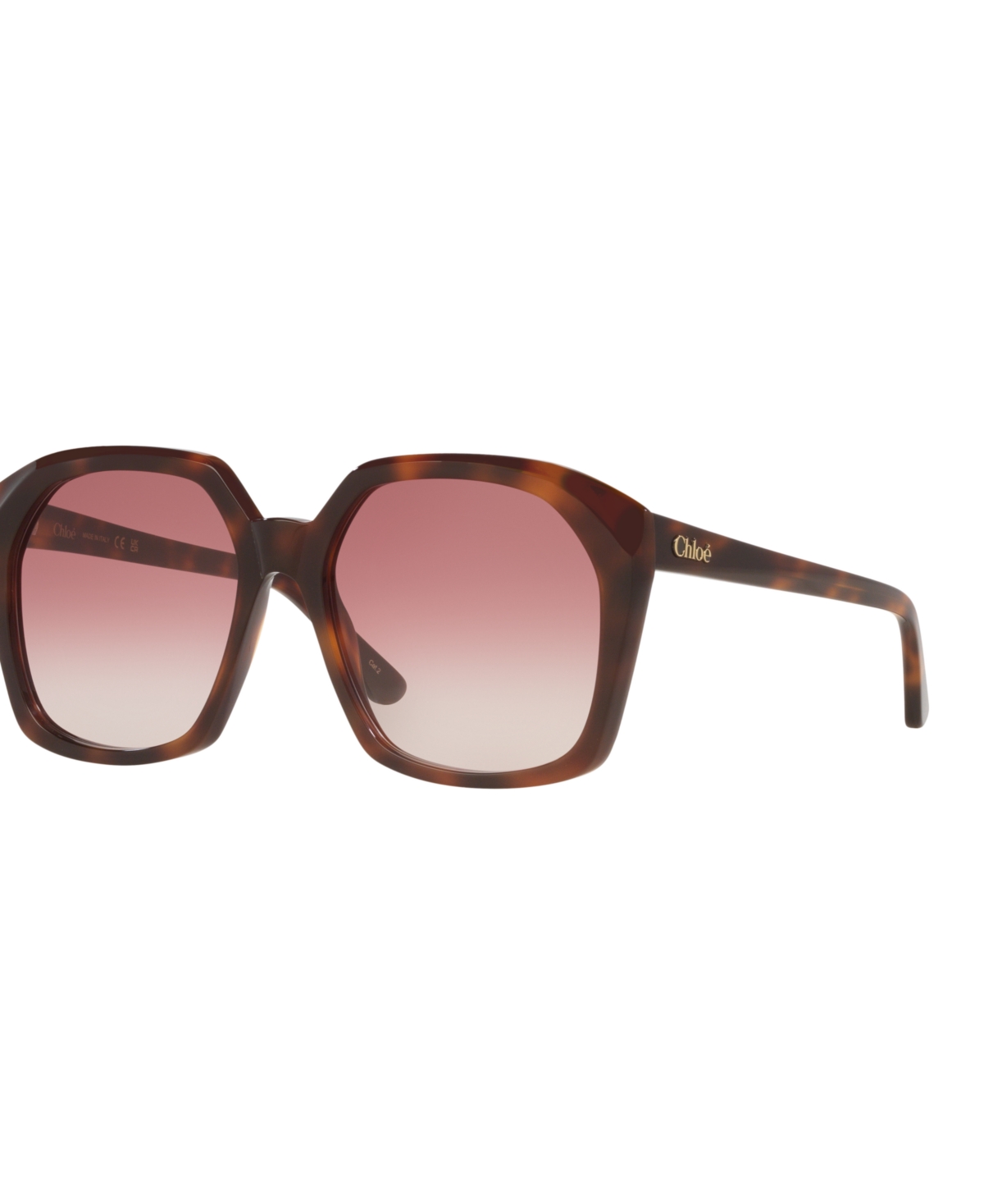 Chloé Women's Large Sunglasses, Ch0280s 6n000550