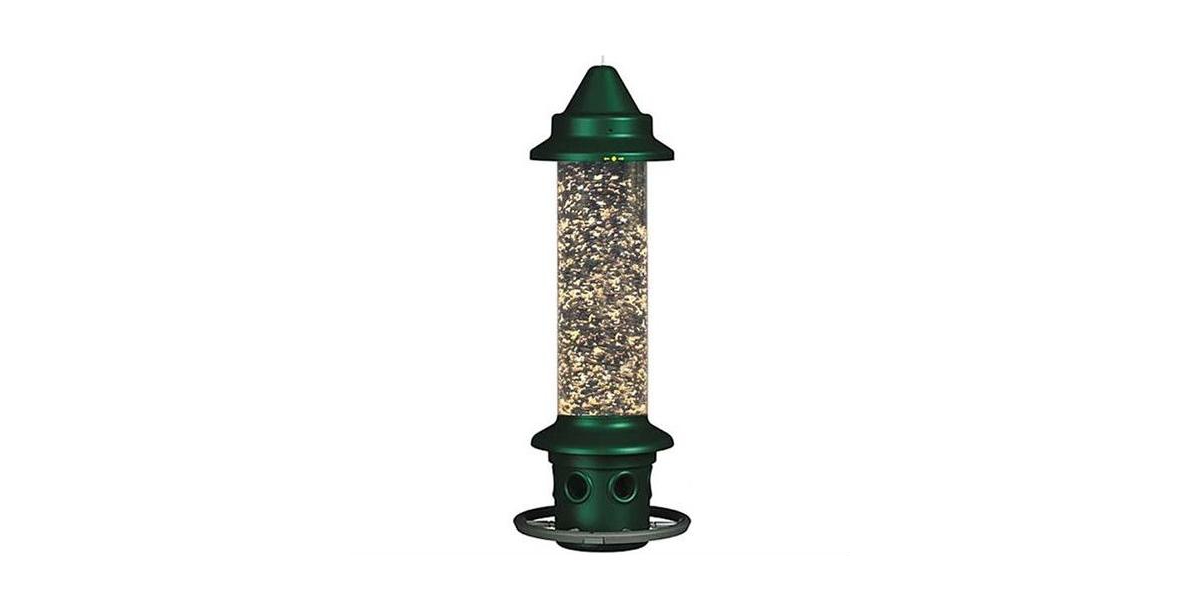 Squirrel-Proof Bird Feeder with Perch Ring for Outdoor Feeding Stations - Green