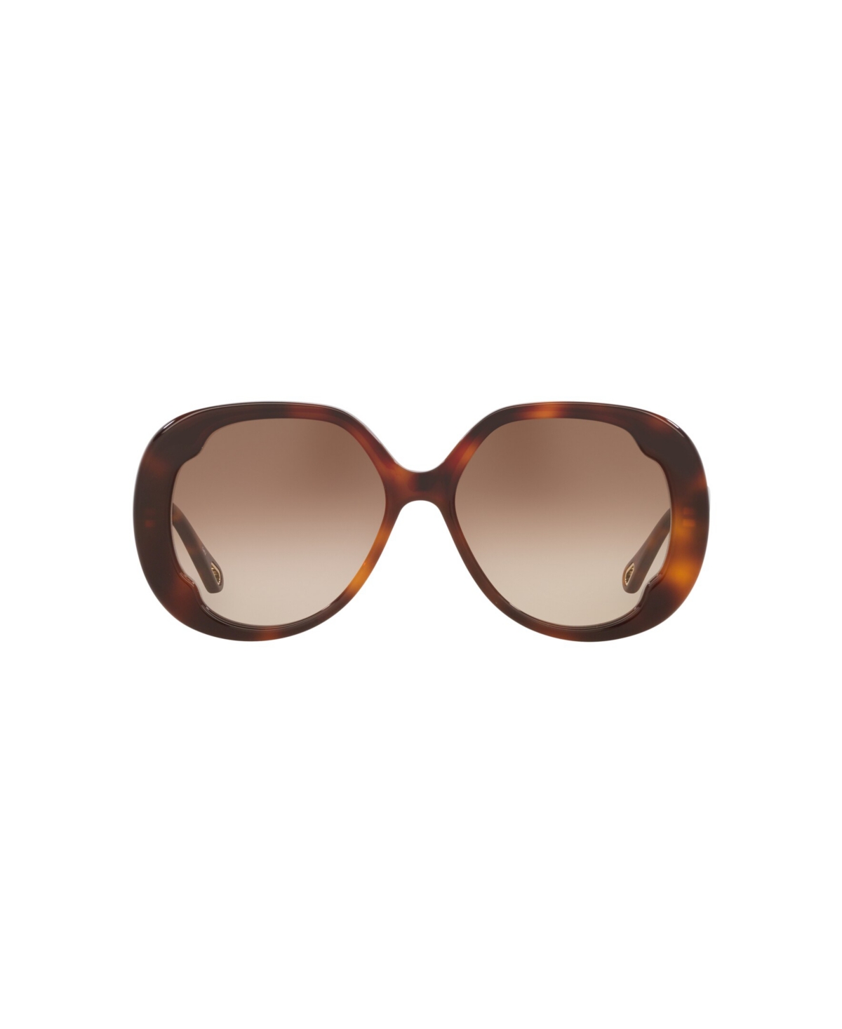 Chloé Oversized Round Sunglasses In Tortoise