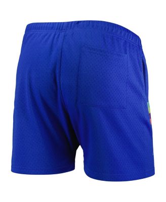 Men's Royal Looney Tunes Lola Bunny Striped Mesh Shorts