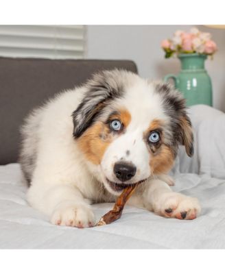 Bully Sticks: 3pk - Standard 6"