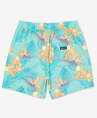 Men's Cannonball Volley 17 Boardshorts