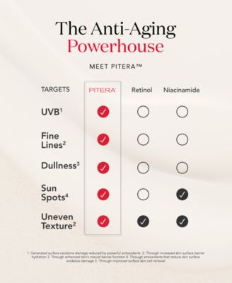 Facial Treatment Mask - 10 Sheets 