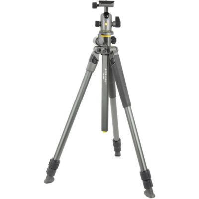 28-300mm f/4-7.1 Di III VC VXD Lens with ALTA PRO 2+ 264AB 4-Section Aluminum Tripod