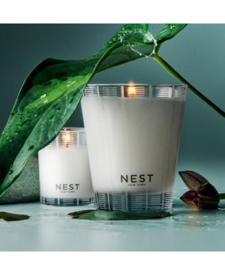 Forest Rain Classic Candle, 8.1 oz.