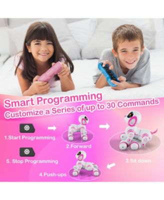 R3 Smart Puppy, Kids & Toddlers Ages 3-8, Interactive Learning Robot Dog Toy, Remote Control, Lights & Sounds, Boys & Girls
