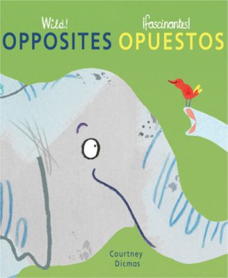 Wild Concepts Bilingual Board Books, Set of 4