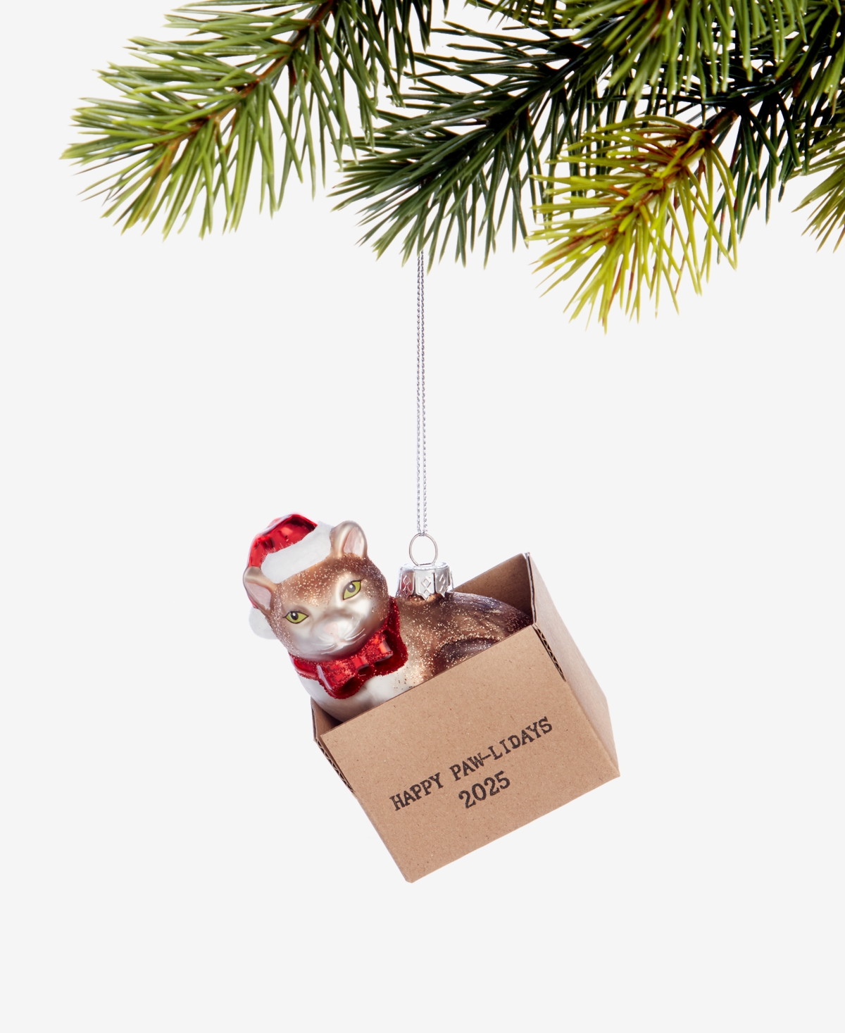 Holiday Lane Pets Cat In Box Ornament, Macy's Exclusive In Transparent