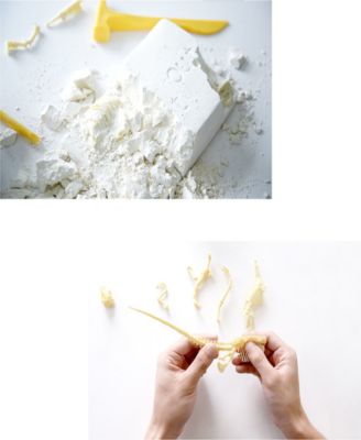 Paleo Hunter Velociraptor Rex STEAM Education Dig Kit