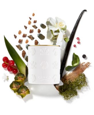 Aventus Porcelain Candle, 7.76 oz.