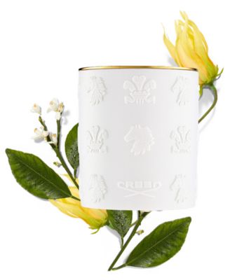 Cananga Porcelain Candle, 7.76 oz.