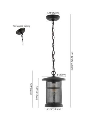 Osprey 8" Outdoor Pendant