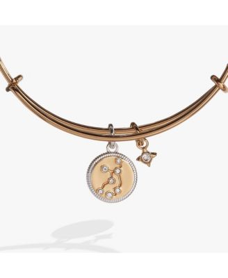 Zodiac Bangle Bracelet Virgo