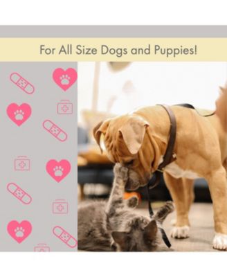 Comprehensive 40-Piece Pet Travel First Aid Kit for Emergencies, Safety, & Adventure